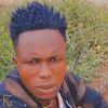 white.lion.majeed