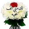 user3149309294781