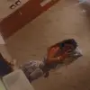 robynbackup12345