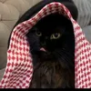jamel6726_