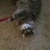 izzy.burdall