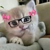 lolikindahatemyselfguys