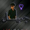 gamil_2025