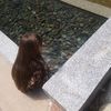 user_.354262