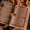 user9619508040466