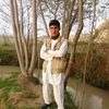 yasen.alizada
