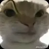 dwcanh69