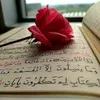 jalalmohammadi01