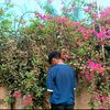 mrviien