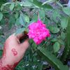 sharminakhter2761