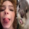 irlkalogeralover