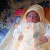 arhan8481