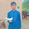 fayaztarar