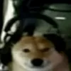 perro_gamer10