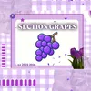 8grapes3