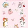 bilkis_822