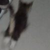 aulnguenghh1