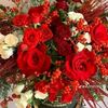 fatima.khachan