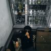 edek_naon