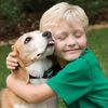 Love dog 29