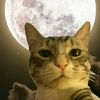 cerr_723