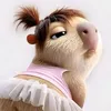 eduarda.simoncell3