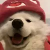 fwck_bitch_
