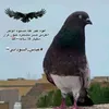 xm_jk4