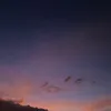 y_zxa7