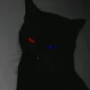 hoodxqz