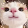 babyciute_qwq