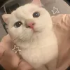 angela_cute159