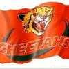 cheetahno1
