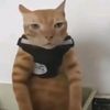 useryapping4