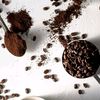 bijikopi_barista