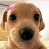 stella_me51