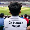 muhammad.hamza00291