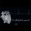 baha.aldin.elfaki