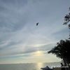 wan_9357