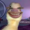 bongkobtnhay3