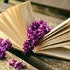 sumaiya.tasnim78