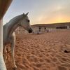 munirah0976