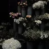 buonmotchutthoi_035