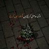 zainab.noor8862