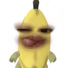 a_n_isa