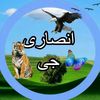aliansaribrand86