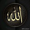user55059417350056