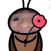 user.phu1