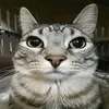 tickcurrentuser
