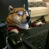 user5312159013344